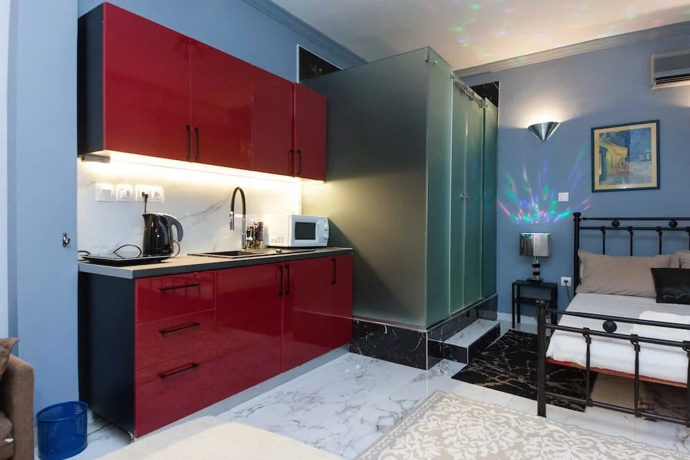 Modern Athenian City Center Studio - photo 11