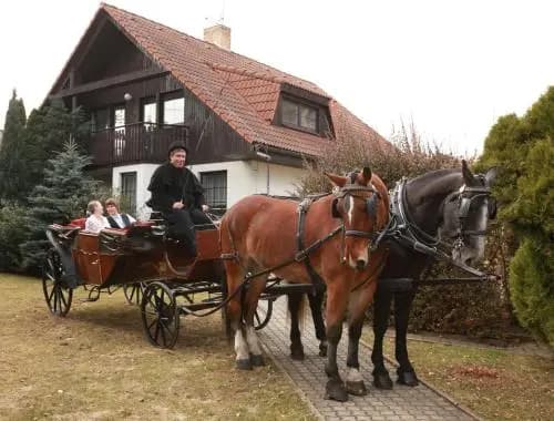 Conifer Cottage IdyllicPrague - photo 18