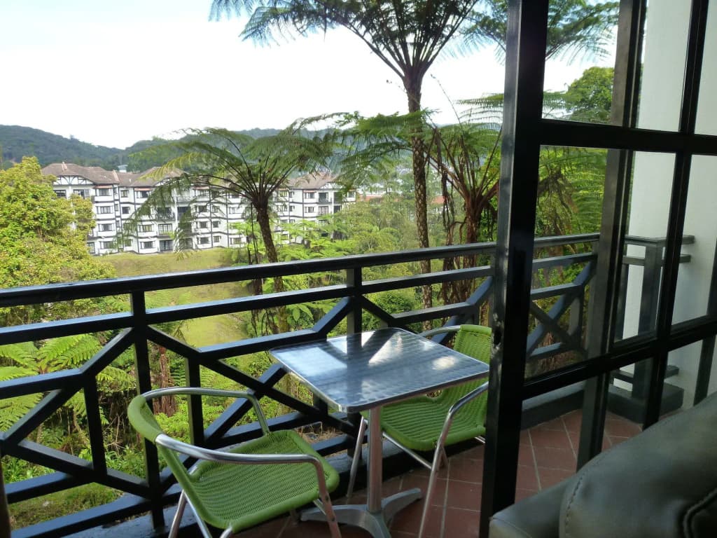 Silverstar Apartments @ Greenhill Resort - photo 5