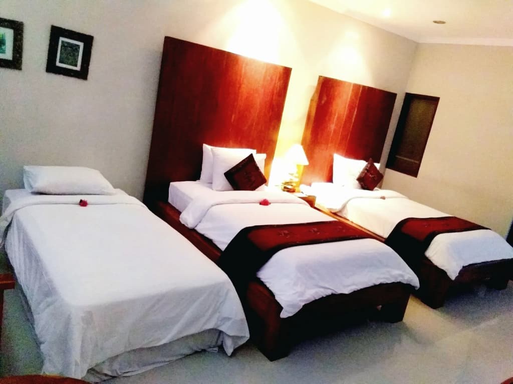 Artini Bisma Ubud Hotel - photo 4