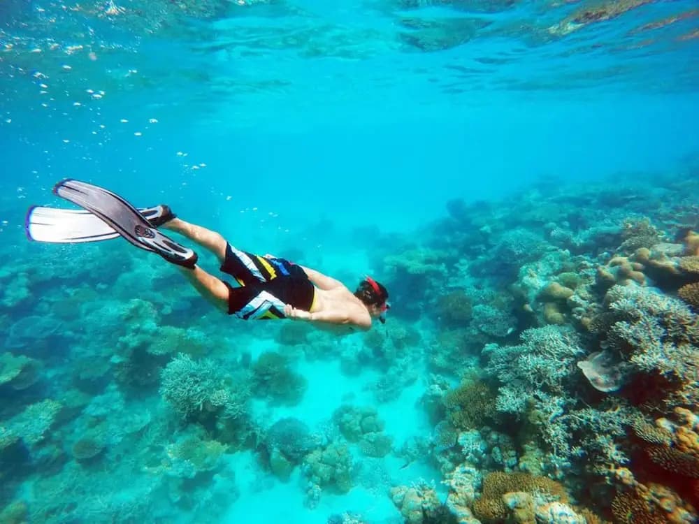 Bibee Maldives - photo 24