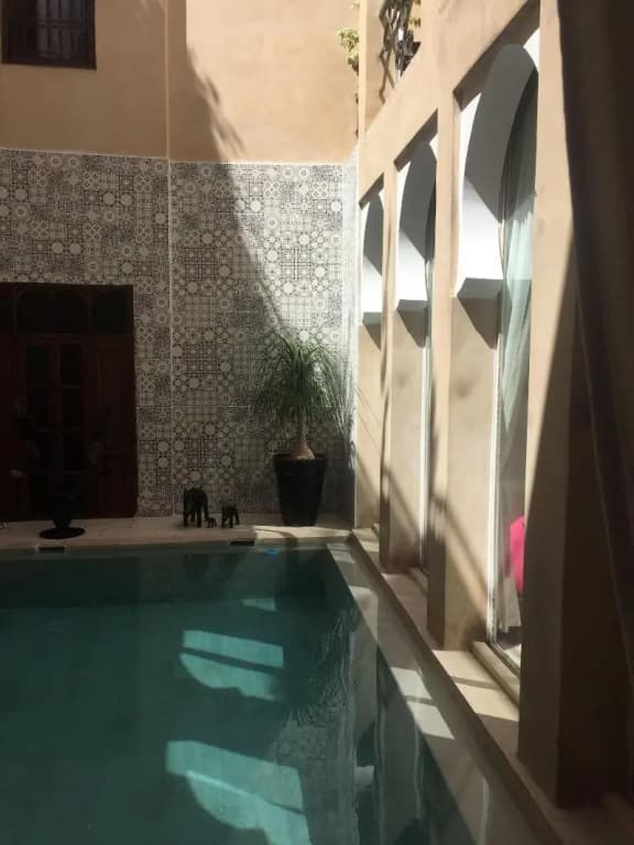 Riad Nafis - photo 16