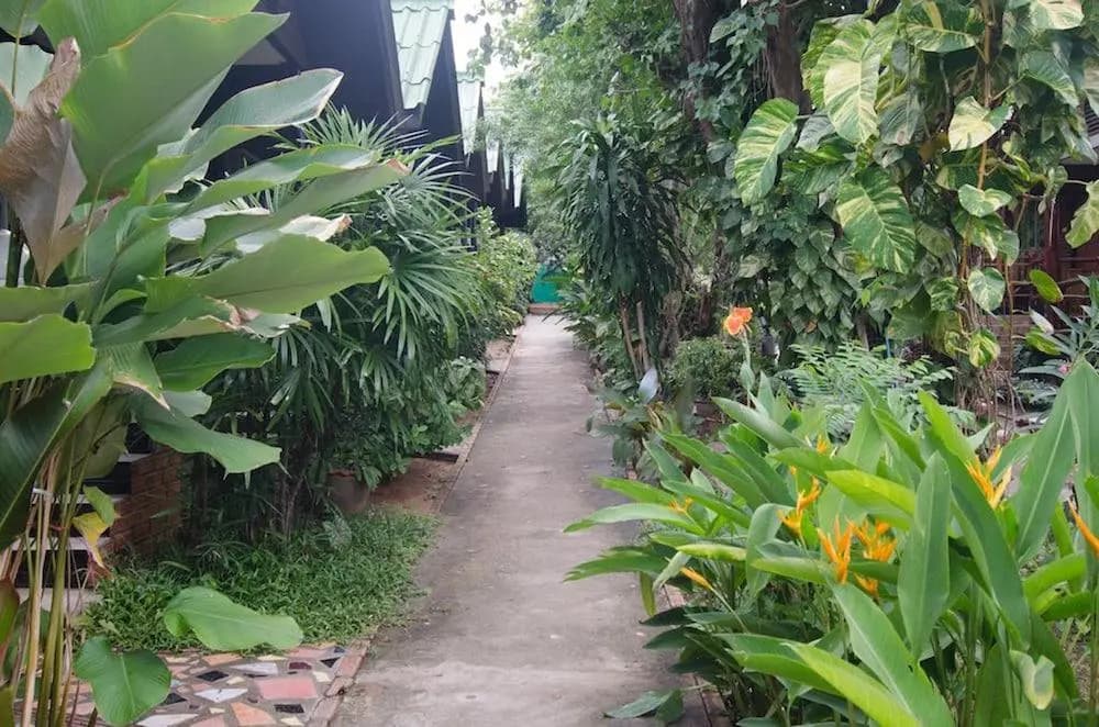 Sea Garden Hostels - photo 15