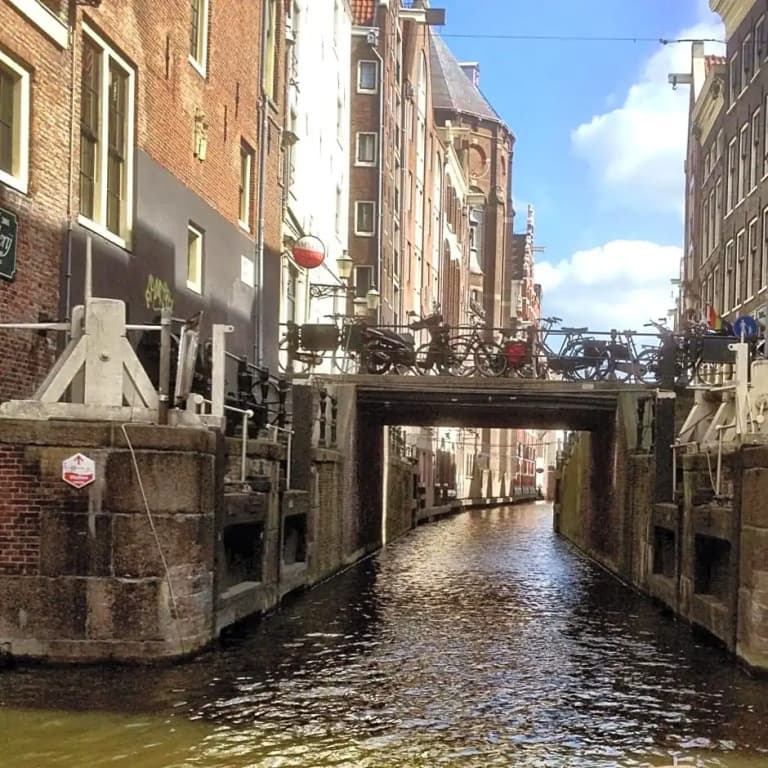 Blauwe Hoorn - photo 8