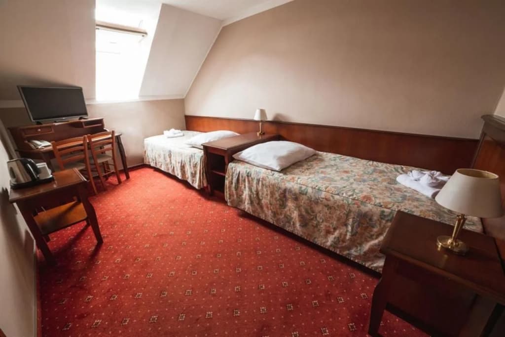 Hotel Dalimil - photo 6