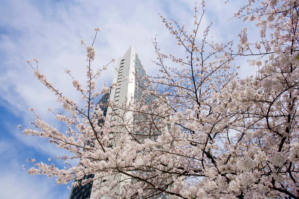 InterContinental ANA Tokyo by IHG - photo 1
