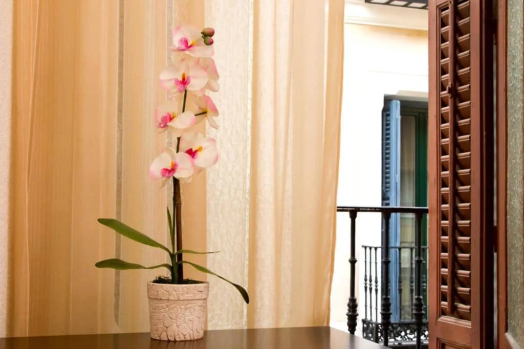 Hostal Condestable - photo 11