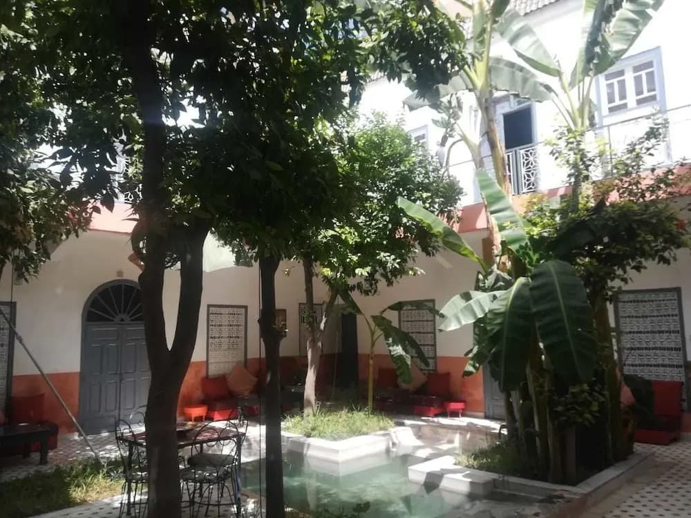 So Chic Riad - photo 14
