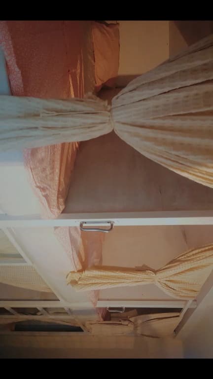 Coconut Ubud Hostel - photo 6