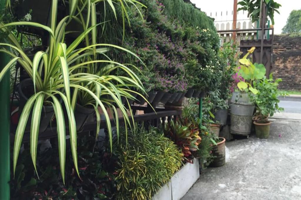Siriwan Guesthouse - photo 9