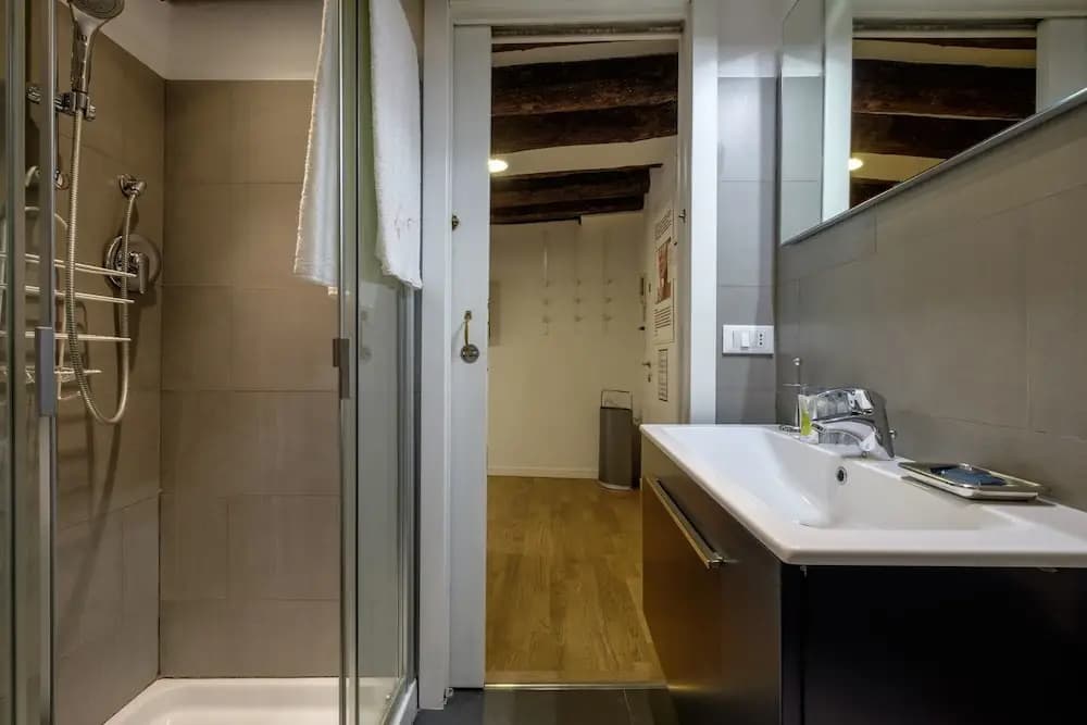The Lion's House APT5 - photo 6