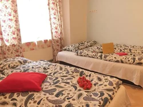 Condo in Vinohrady - photo 2