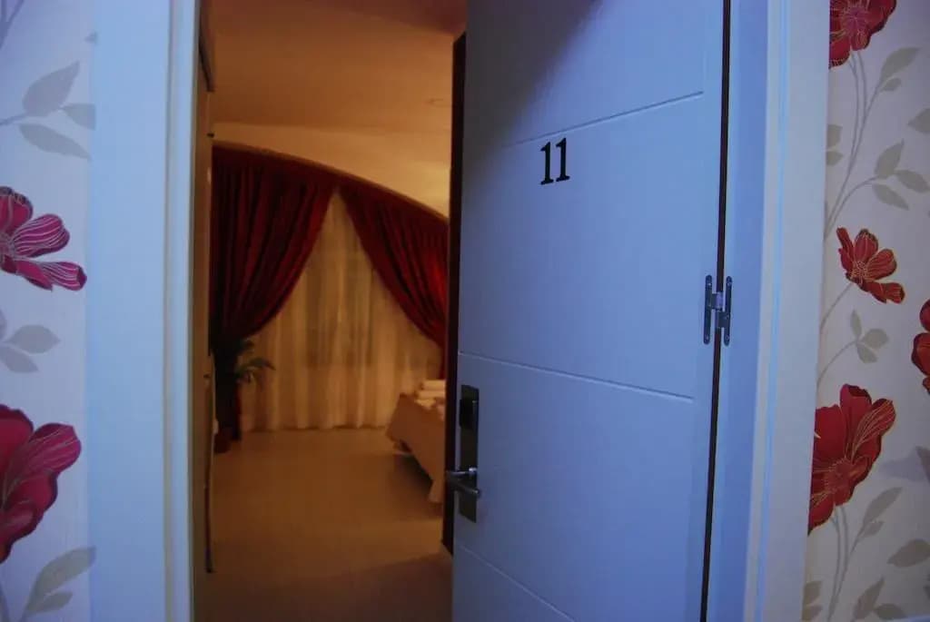Hostal Petite Maman - photo 2