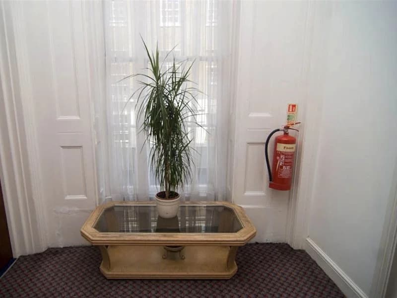 Pacific Hotel - photo 9