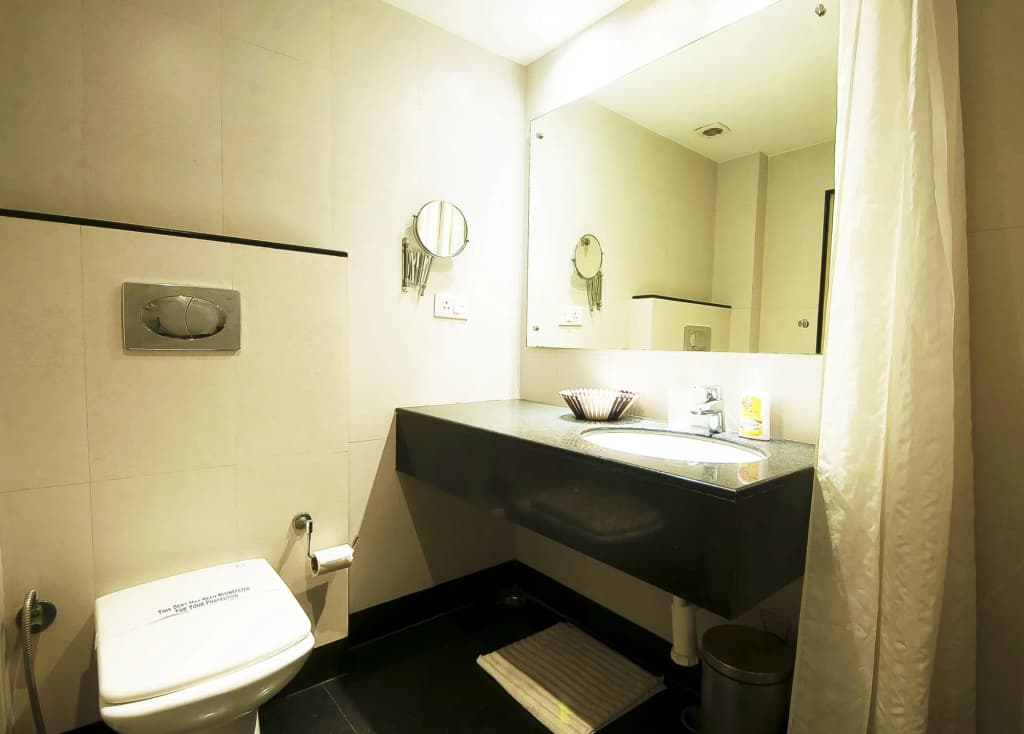 Mayur Hotel - photo 8