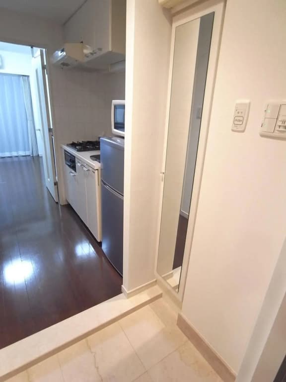 Palace Studio Akasaka Nibankan - photo 15