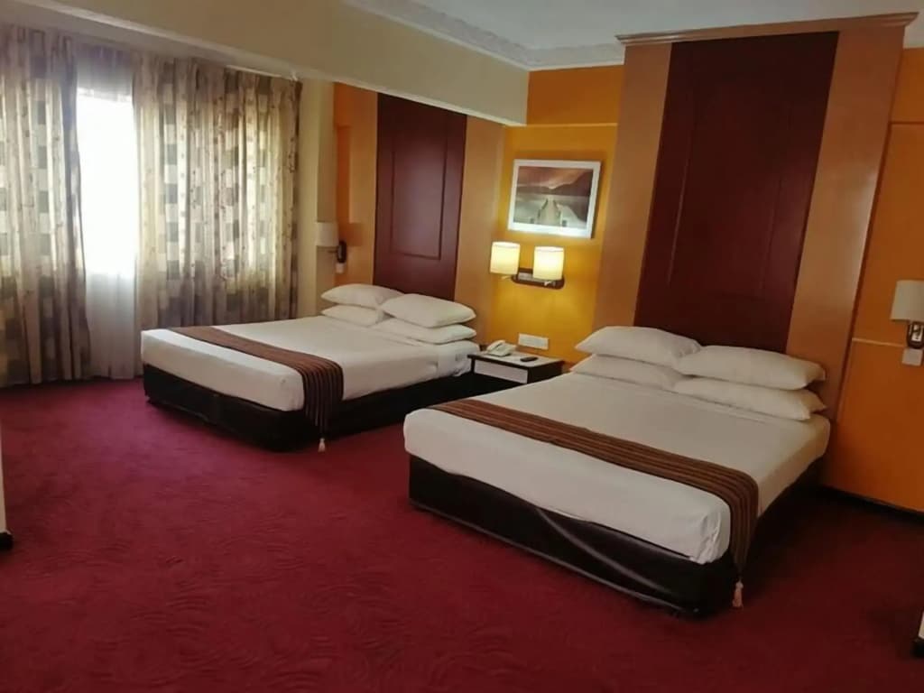 Palace Hotel - photo 6