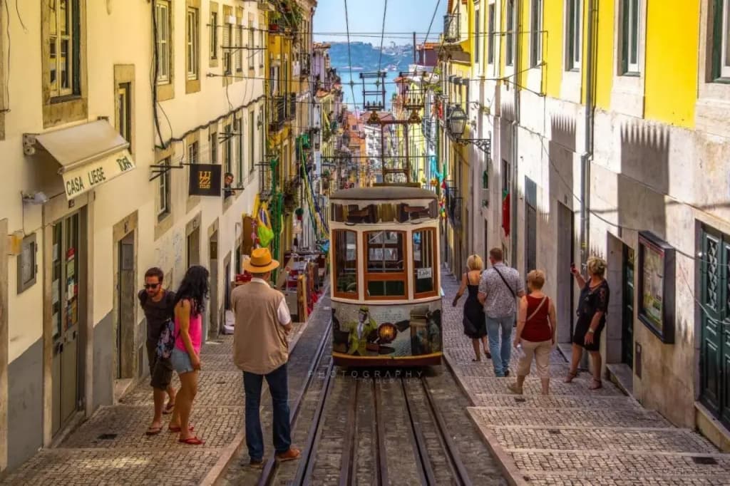 Comfy @ Chiado - photo 12