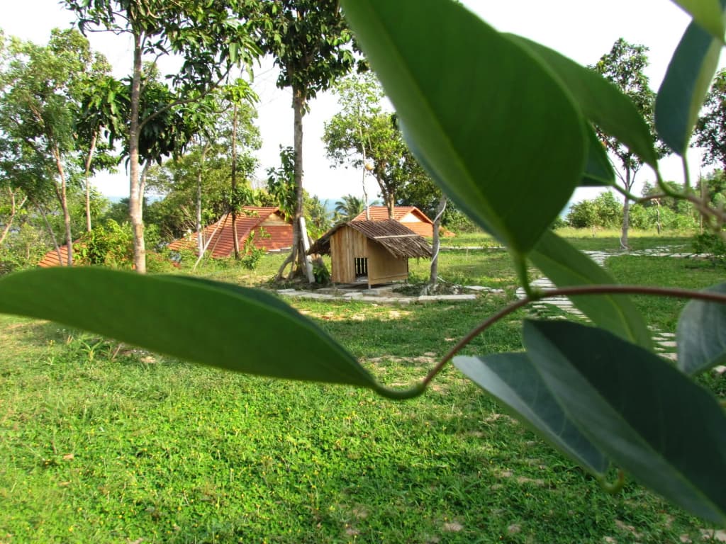 Mango Beach Resort - photo 20