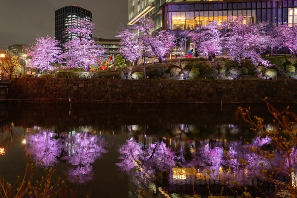 The Prince Gallery Tokyo Kioicho, a Luxury Collection Hotel - photo 44