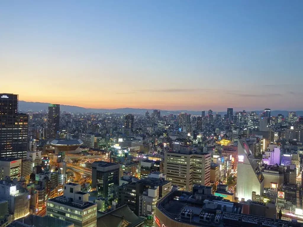 Swissotel Nankai Osaka - photo 23