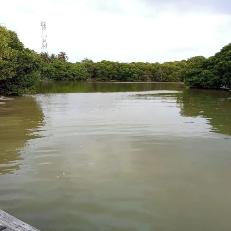 Sea Breeze View - photo 38