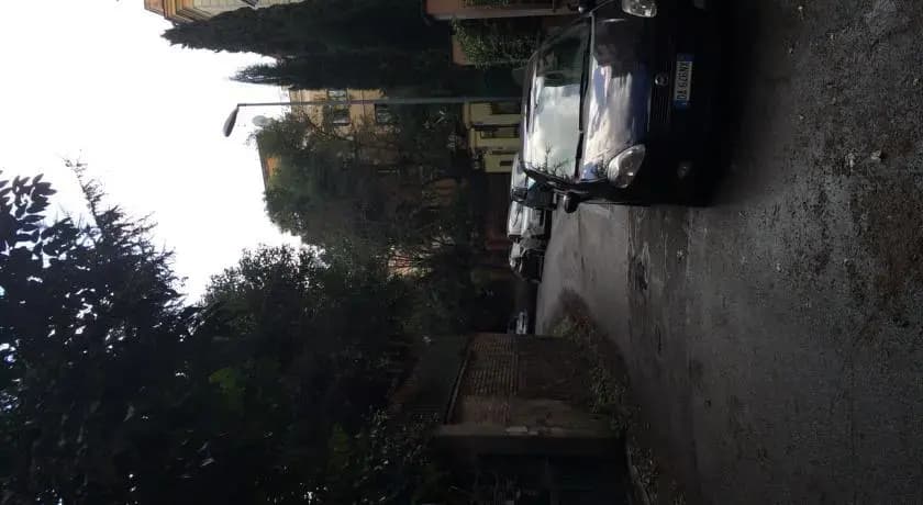 La Casa Gatto - photo 6