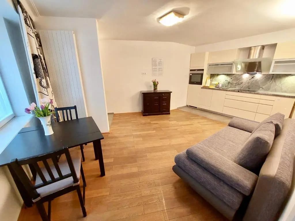 Vienna Studio Apartments - photo 4