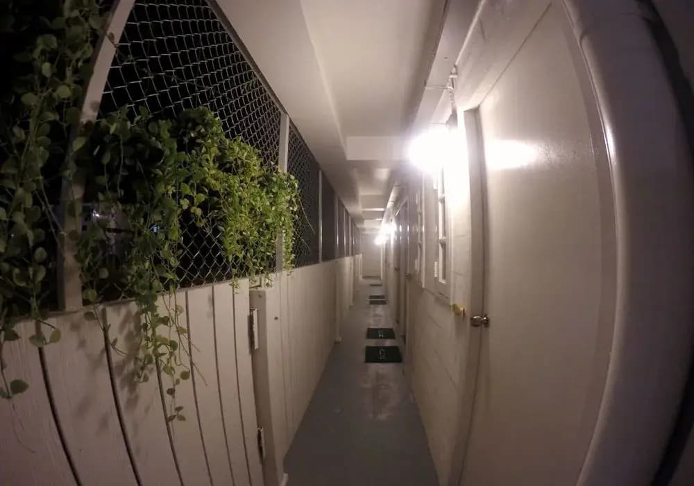 The Pier Hostel - photo 14
