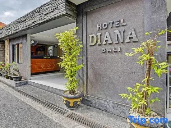 Hotel Diana 1 - photo 23