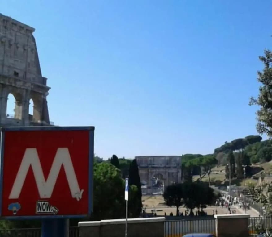 Vesta Domus - photo 15