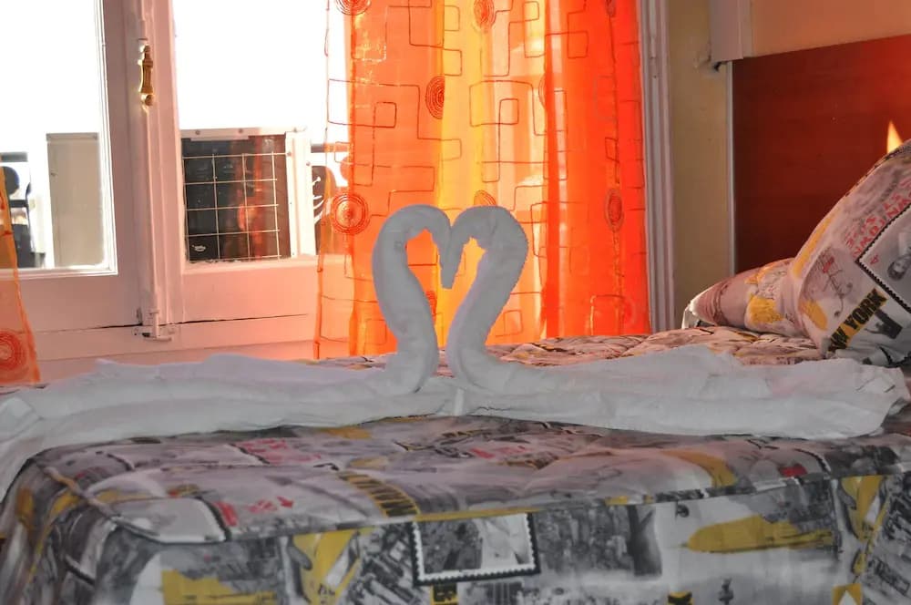 Hostal Stella - photo 3
