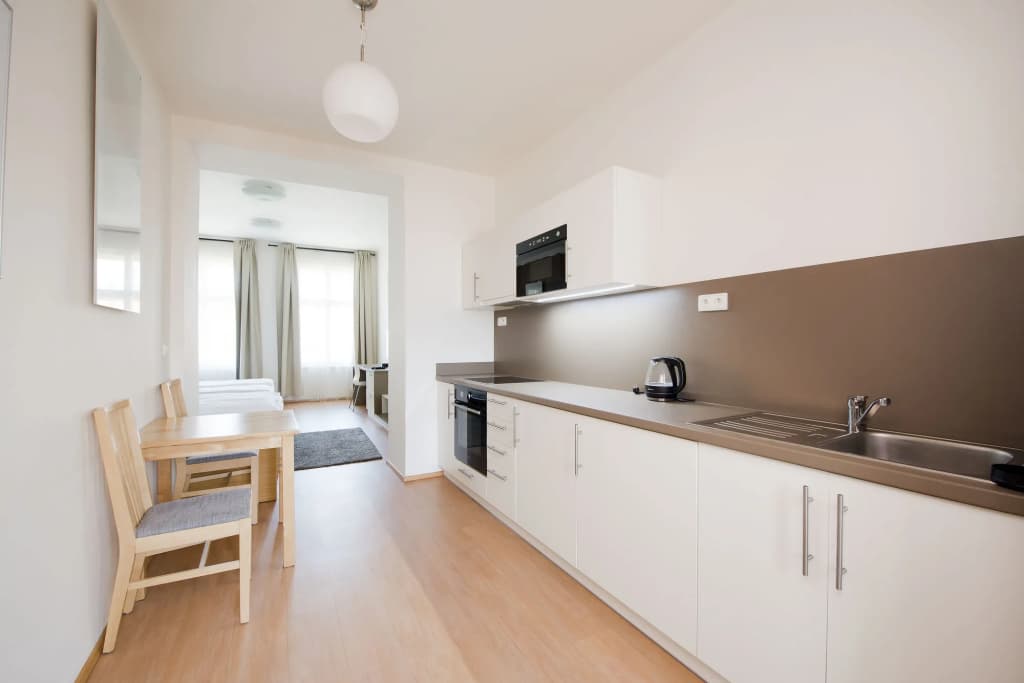 DownTown Suites Chlumova - photo 11