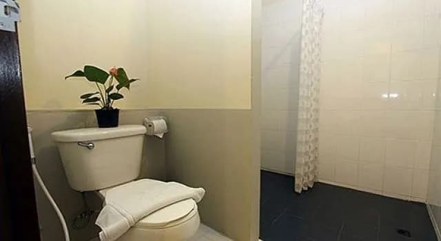 One-D House - photo 9