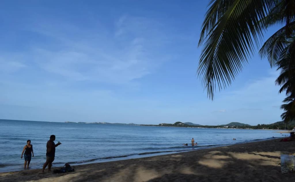 Serenity Resort - photo 7