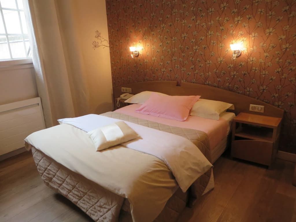 Hotel Le Vert Galant - photo 3