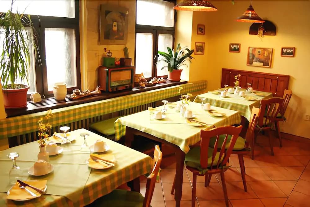 Hotel U Hvezdy - photo 11