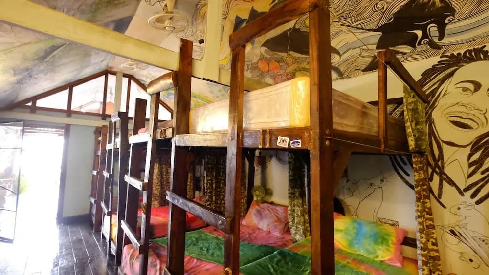 Peacock Hostel - photo 11
