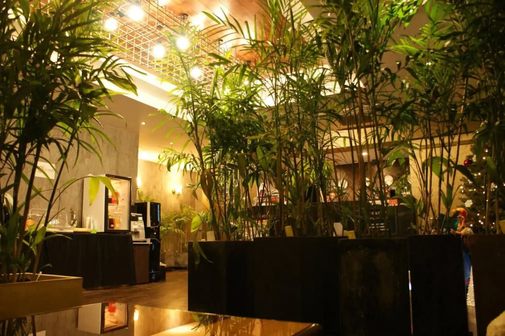 VIV Classic Hotel - photo 18