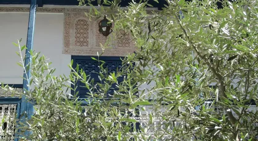 Riad Acv - photo 4