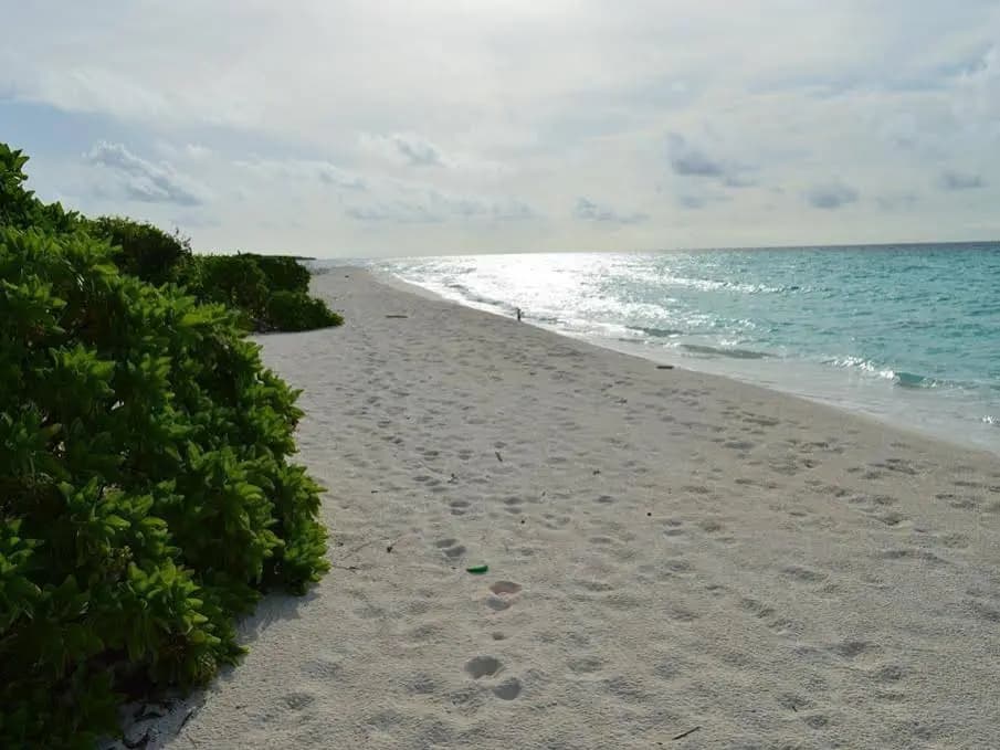 Vashafaru Inn - photo 11
