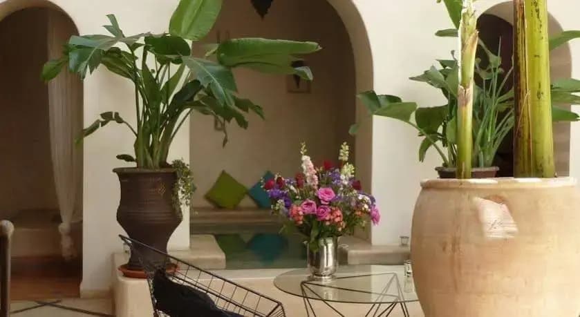 Riad Le Nid De La Colombe - photo 12