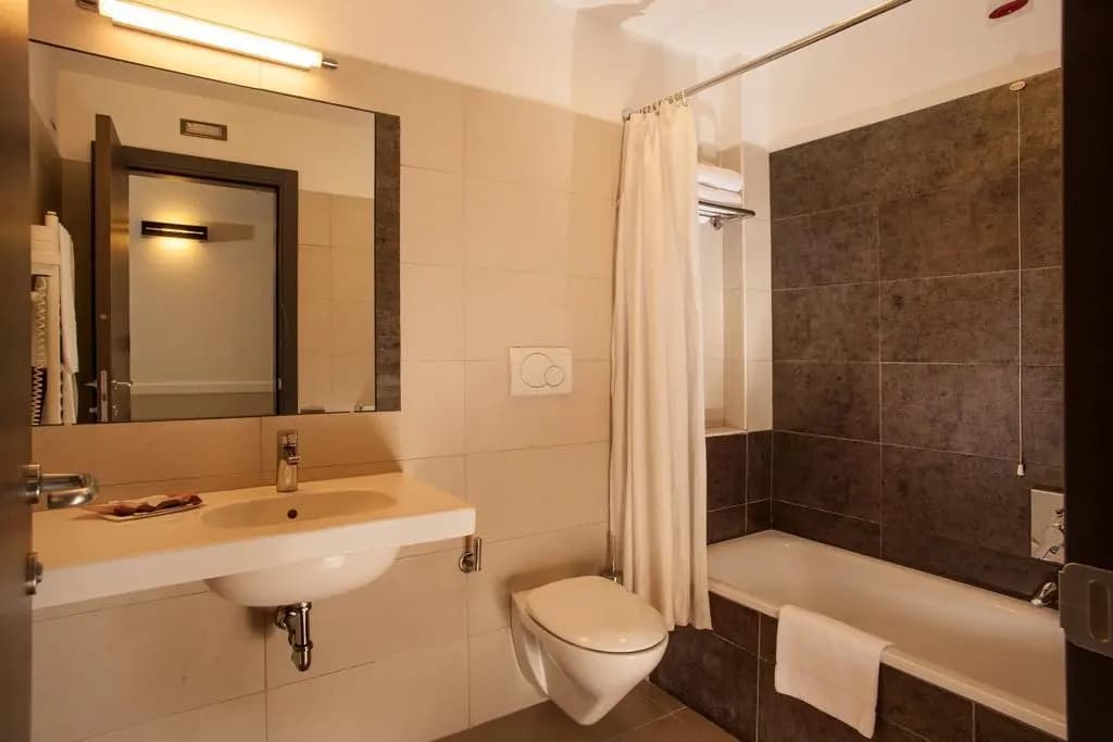 Hotel Artis - photo 7