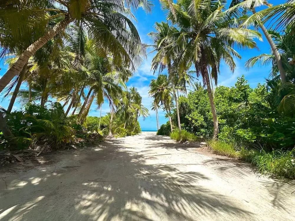 WhiteSand - photo 29