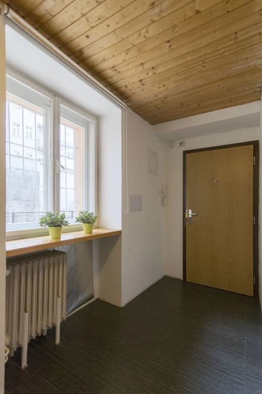 Spacious apartment near Wenceslas Square - photo 10