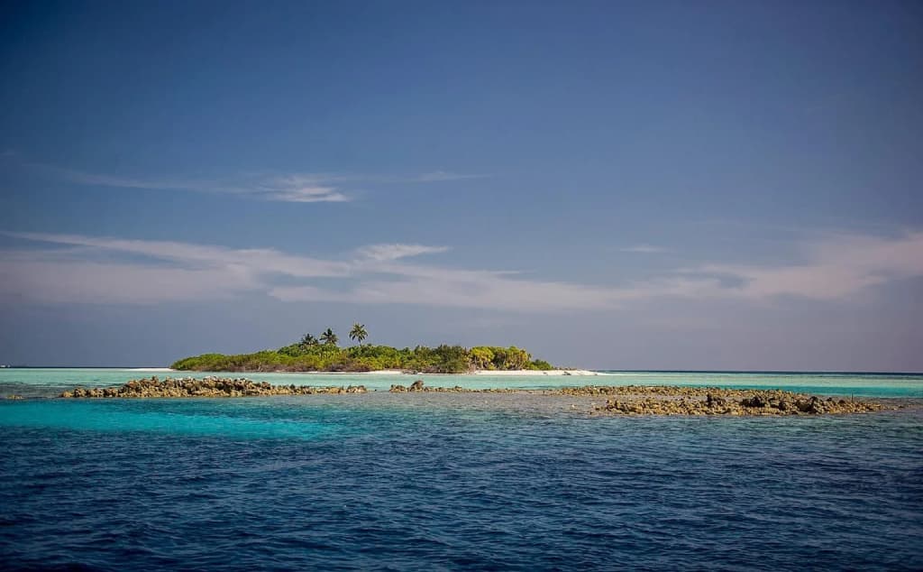 Detour Beach View - photo 18