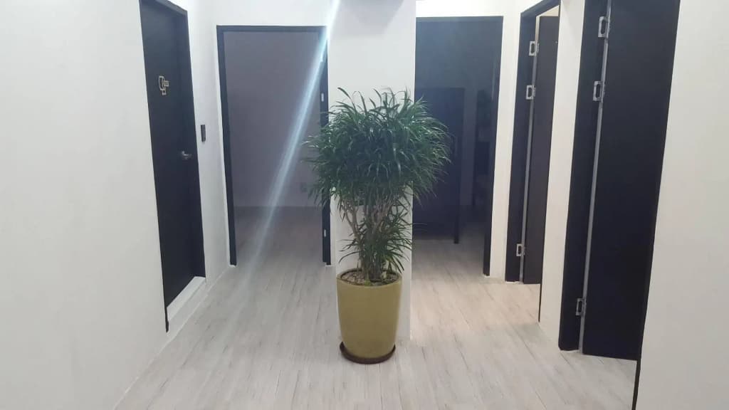 Amazon Guesthouse - Hostel - photo 13