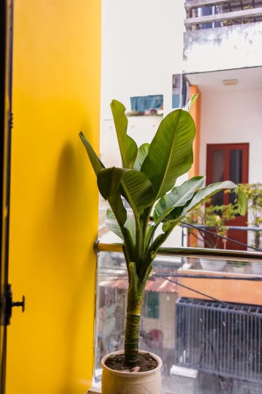 ComCC Hostel And Coffee - photo 11