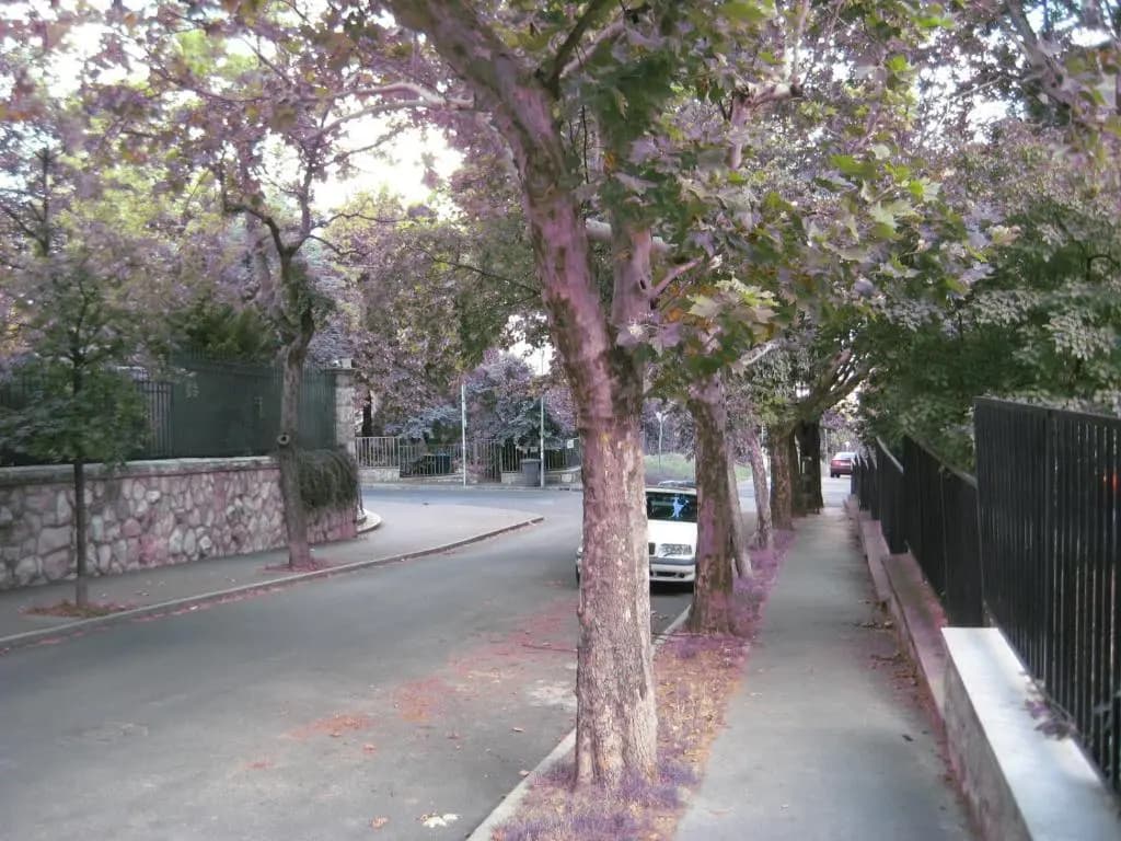 Platán apartman - photo 3