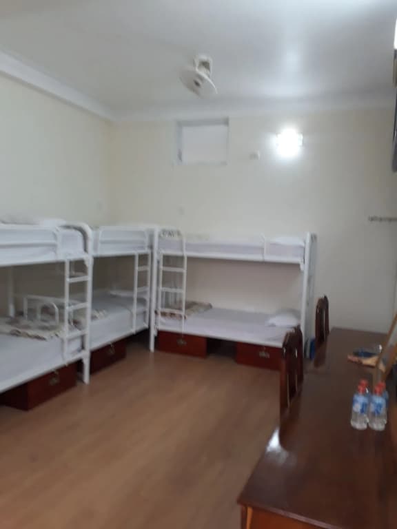 Blue Sea 2 Hotel - photo 15
